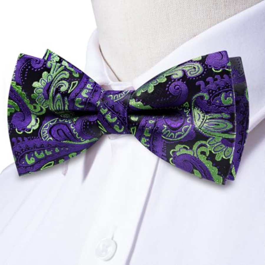 Mens Paisley Striped Bowtie Se - Bow Tie Pre Tied review and price