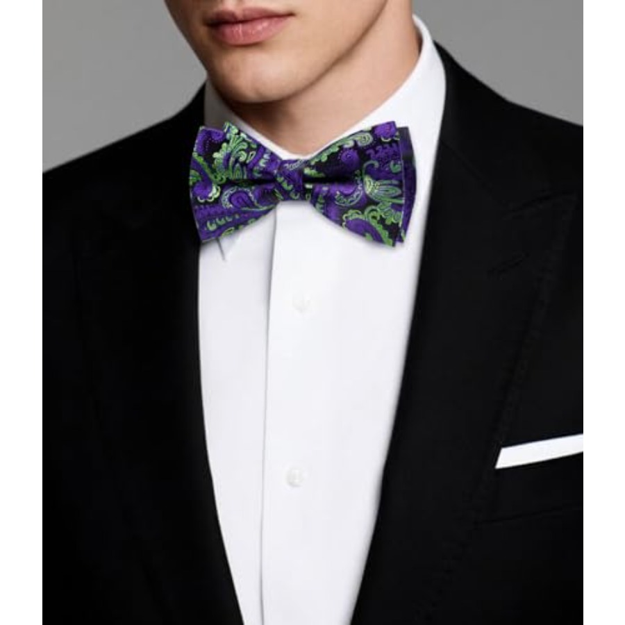 Mens Paisley Striped Bowtie Se - Bow Tie Pre Tied review and price
